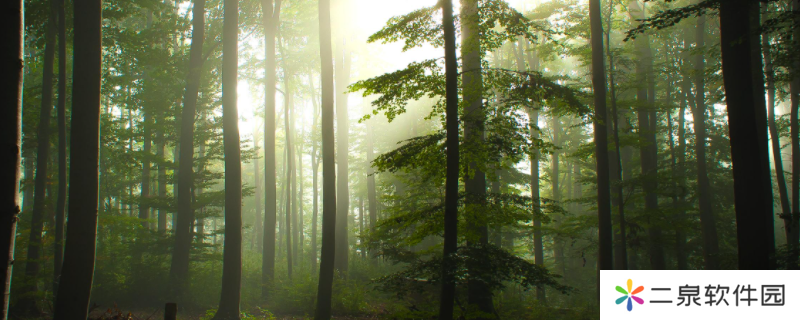 详细阅读:the forest作弊码怎么输入-the forest作弊码输入方法 the forest作弊码怎么输入-the forest作弊码输入方法